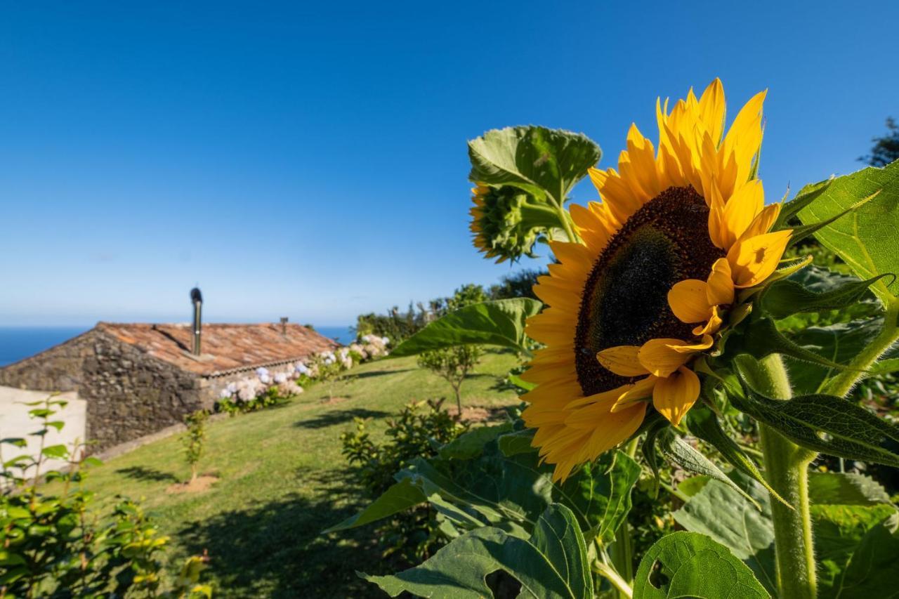 Casa Do Castanheiro - Nordeste, Acores Nordeste  Dış mekan fotoğraf