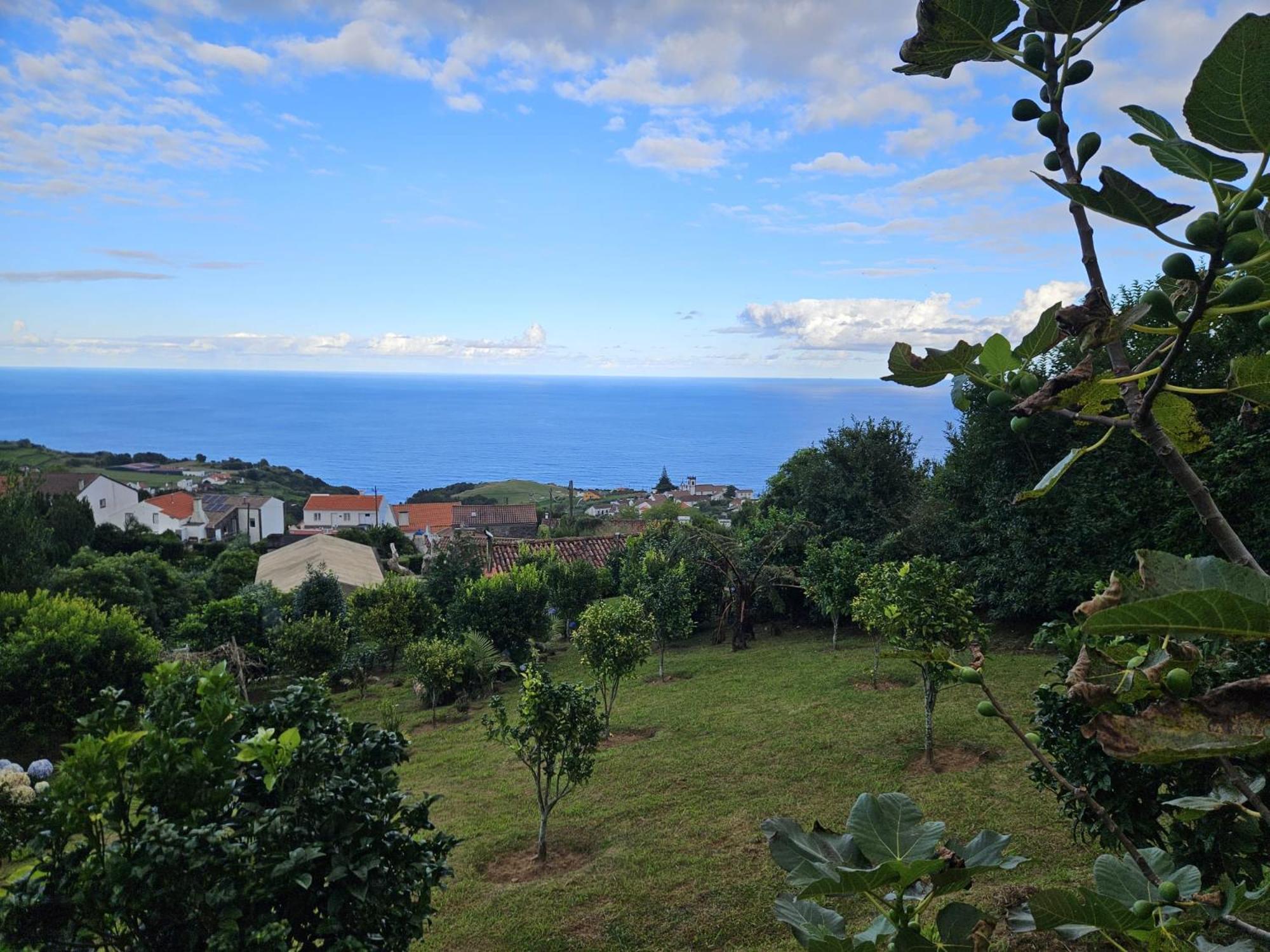 Casa Do Castanheiro - Nordeste, Acores Nordeste  Dış mekan fotoğraf